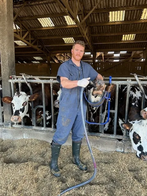 Drenchage d'un bovin à Saint Vaast Dieppedalle, Yerville, Maxime Christophe Vétérinaire